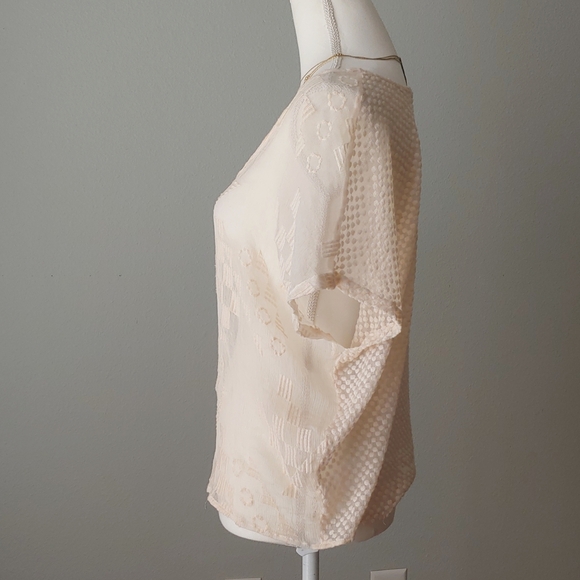 Embroidered Pure Silk Sheer Top - Picture 2 of 11